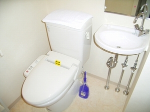 mita toilet.jpg