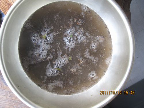 放射線除染実験201110241236058f8.jpg