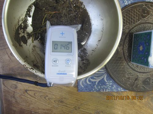 放射線除染実験2011102412364280f.jpg